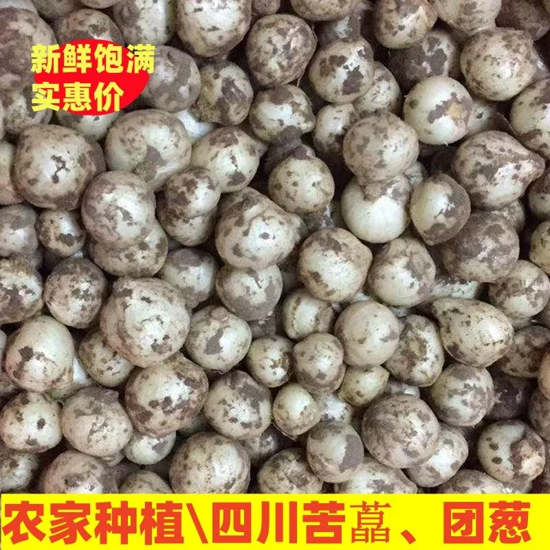 新货苦藠头野生苦叫野小蒜苦茭团葱薤白小根葱野葱头洋葱5斤圆葱