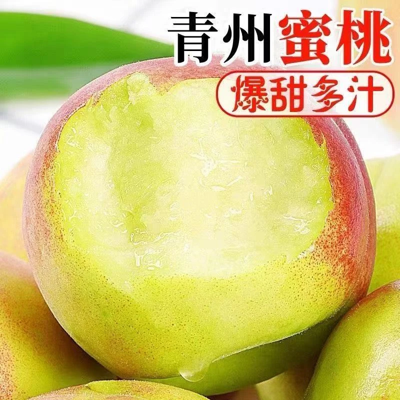 正宗现摘青州蜜桃毛桃新鲜正宗当季脆甜桃子水果整箱