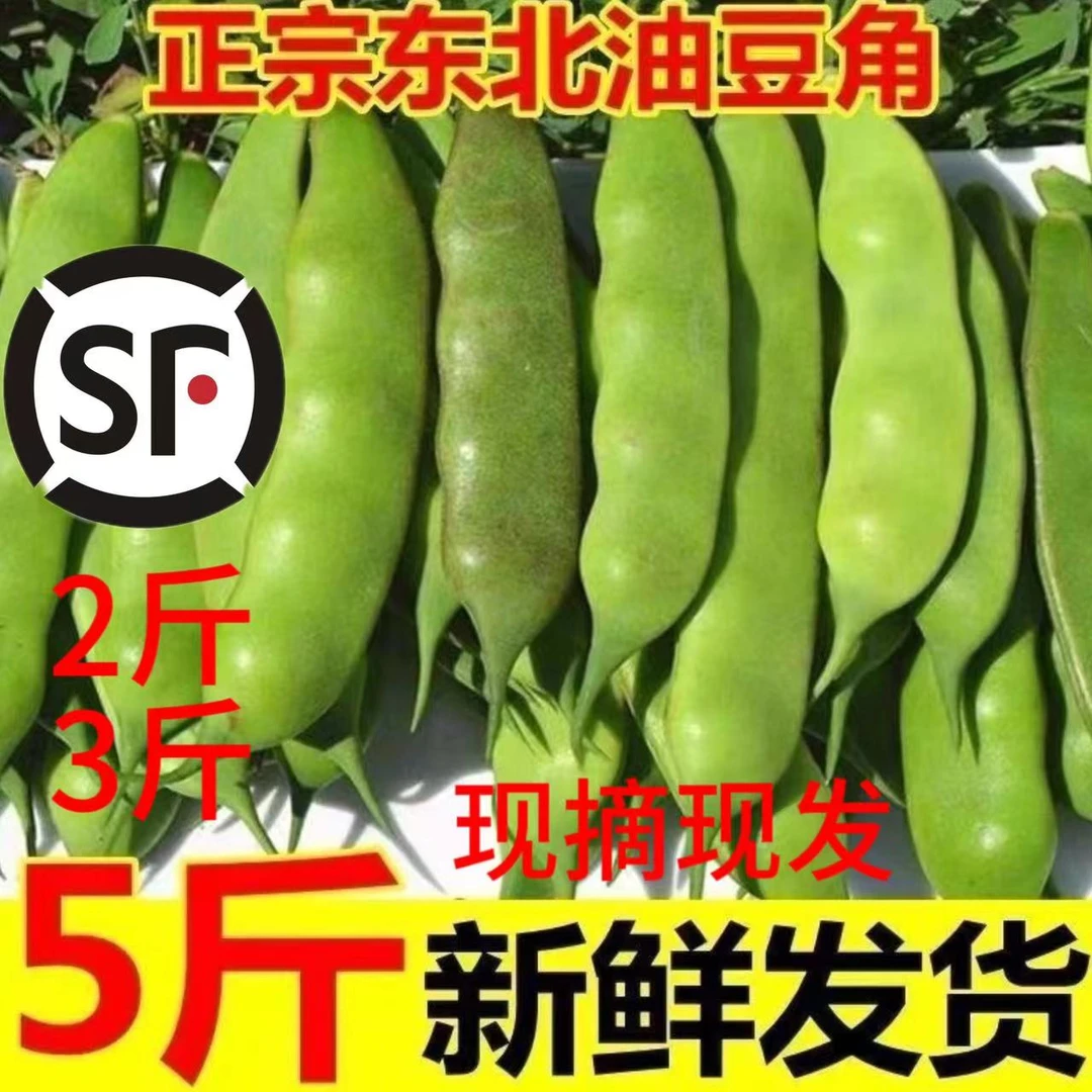 东北九月青油豆角农家菜自然原味精品新鲜蔬菜时令蔬菜大小混装