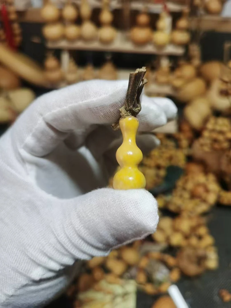 【豆苗葫芦】直播间专用链接请勿自主下单