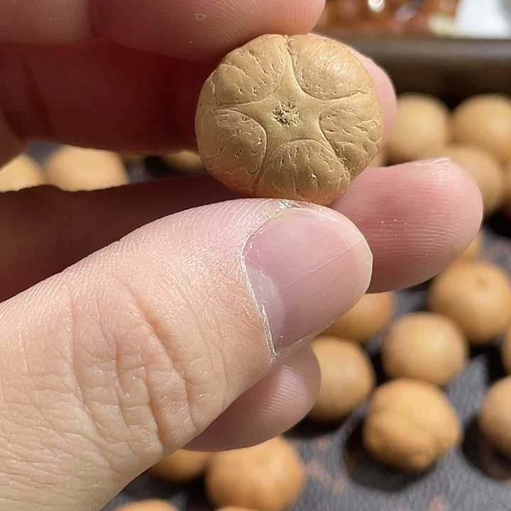 吊坠凤眼菩提尼泊尔小凤眼