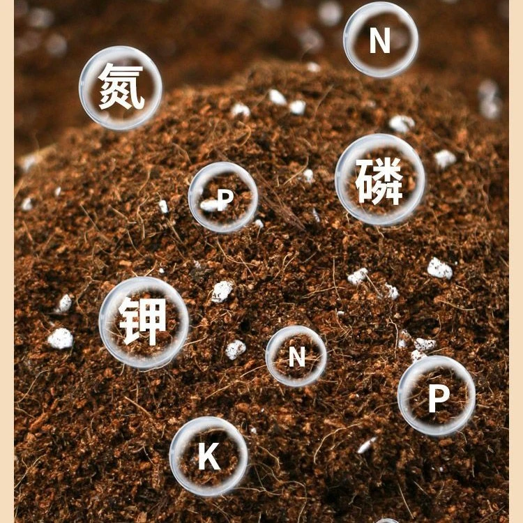 君子兰营养土兰科家庭园艺专用土兰花专用肥料阳台家用种植土盆栽