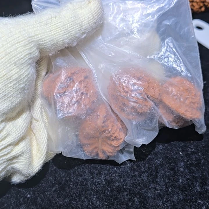 核桃哈哈哈哈哈哈哈