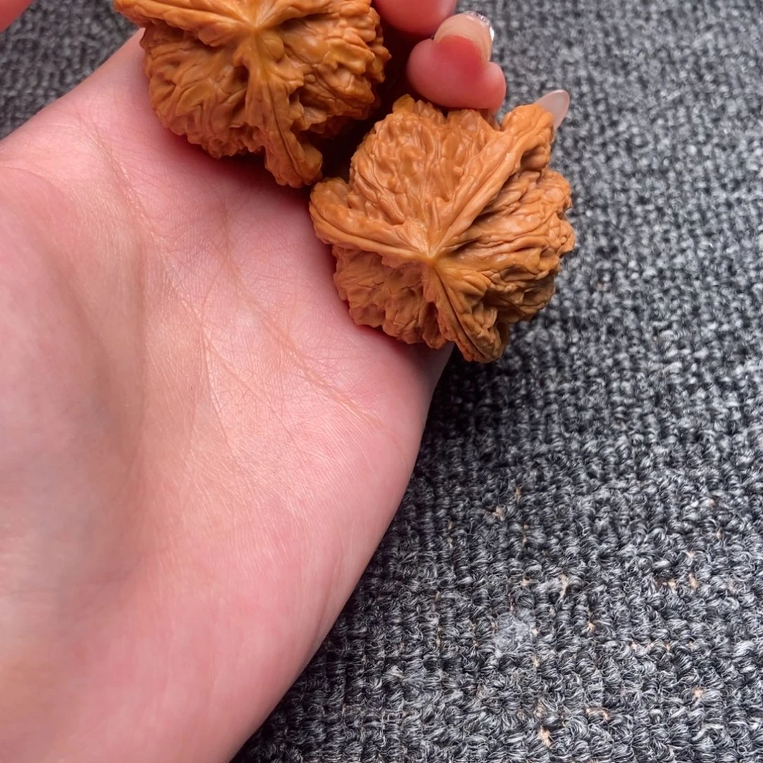 随***木质类白狮子正奔