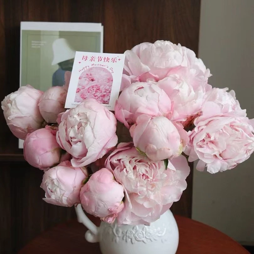 告白妈妈，爱不等待3