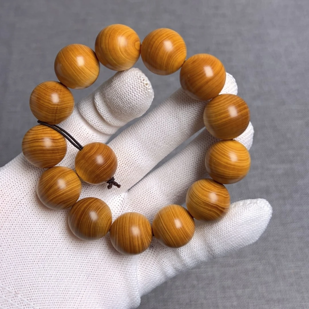 柏木（崖柏）太行崖柏1.8