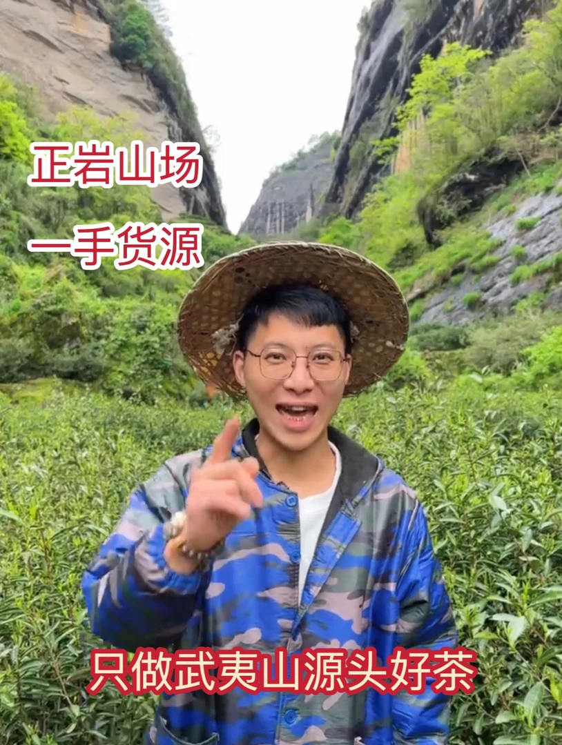 XM101号 获奖茶 武夷山源头直发