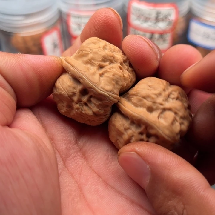 把件文玩核桃古蝉