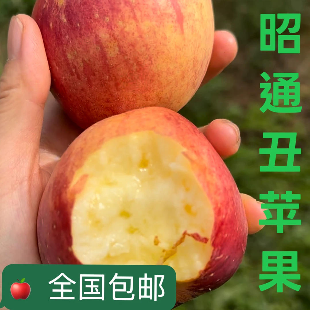 昭通苹果25年云南昭通苹果现摘现发水果脆甜多汁坏果