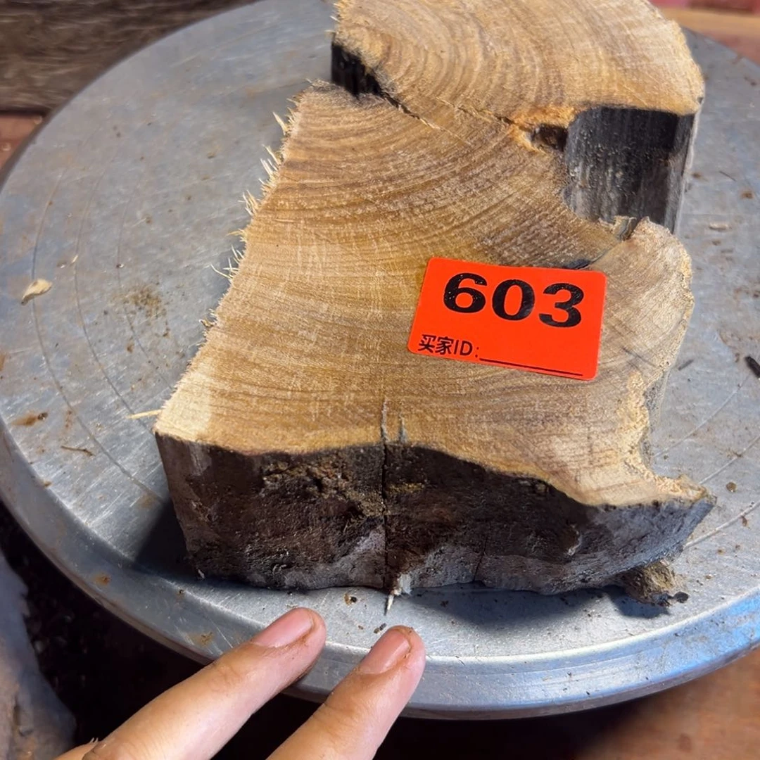 大果紫檀（缅甸花梨）