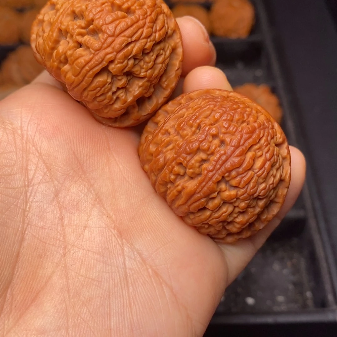 文玩核桃把件秦岭野生核桃