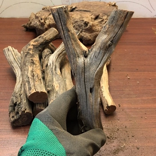 大果紫檀（缅甸花梨）大*师