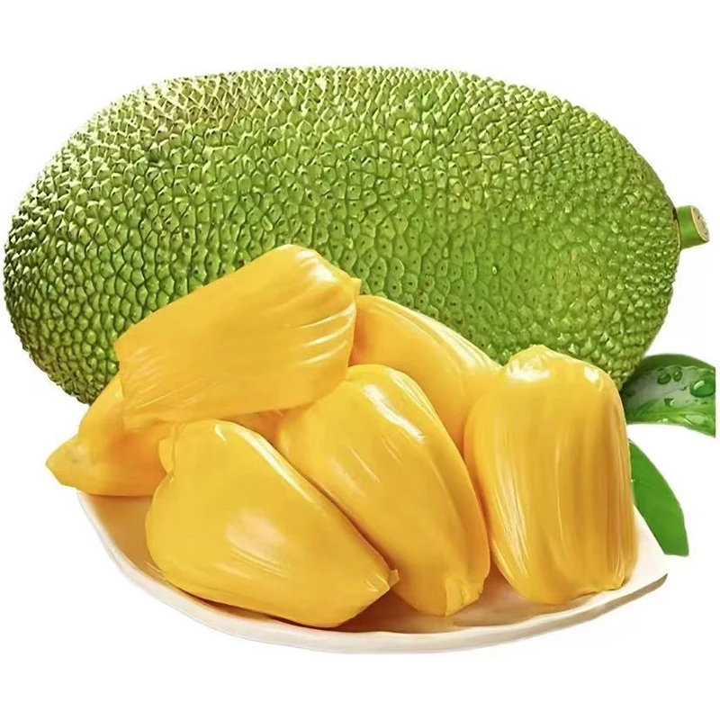 越南进口红肉菠萝蜜【8-10斤】京东包邮次日达