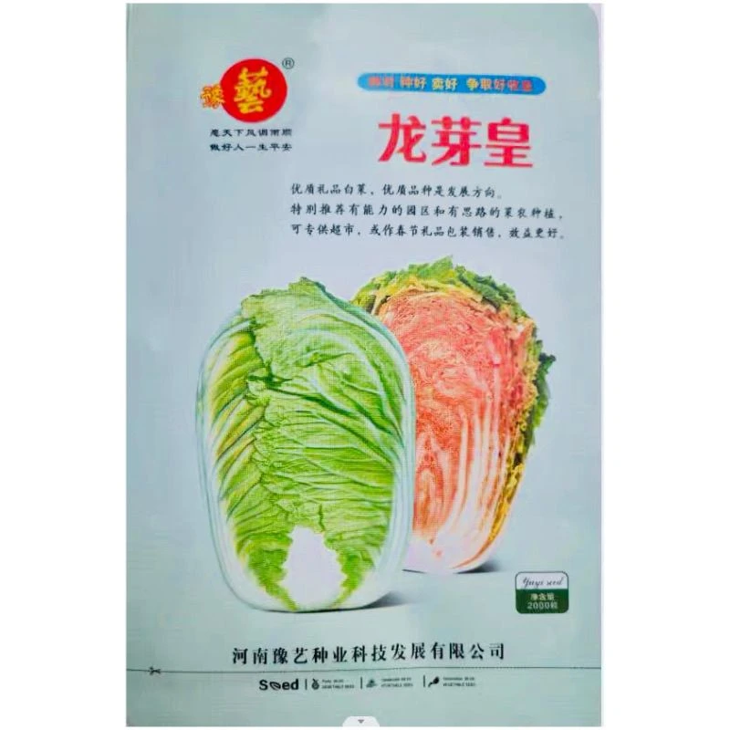 申荣贵族大红心大白菜种子早熟结球白菜桔黄芯秋播耐贮运蔬菜种籽