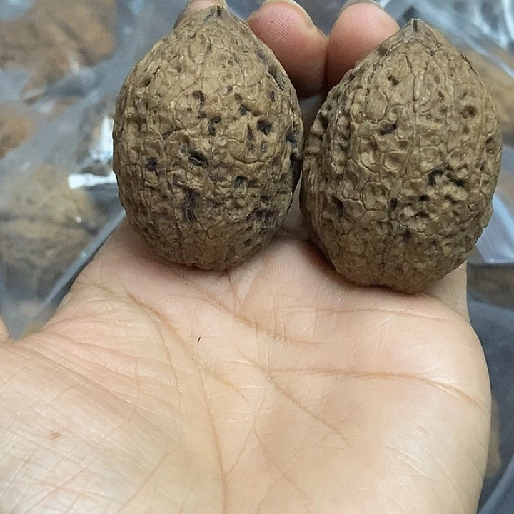 文玩核桃把件云南铁核桃基地92