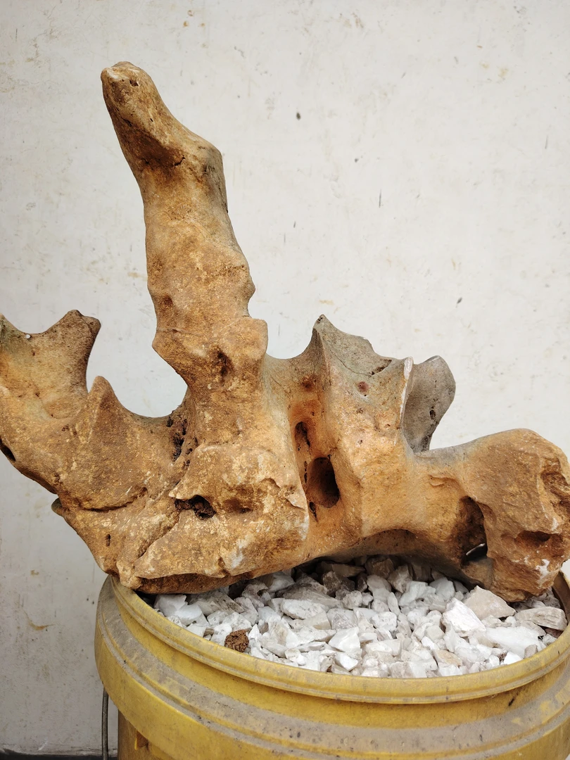 天然太湖石，墨石观赏品摆件