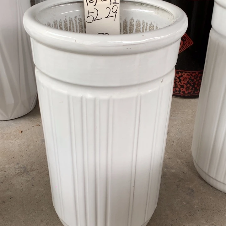 花盆里的小猫咪们都