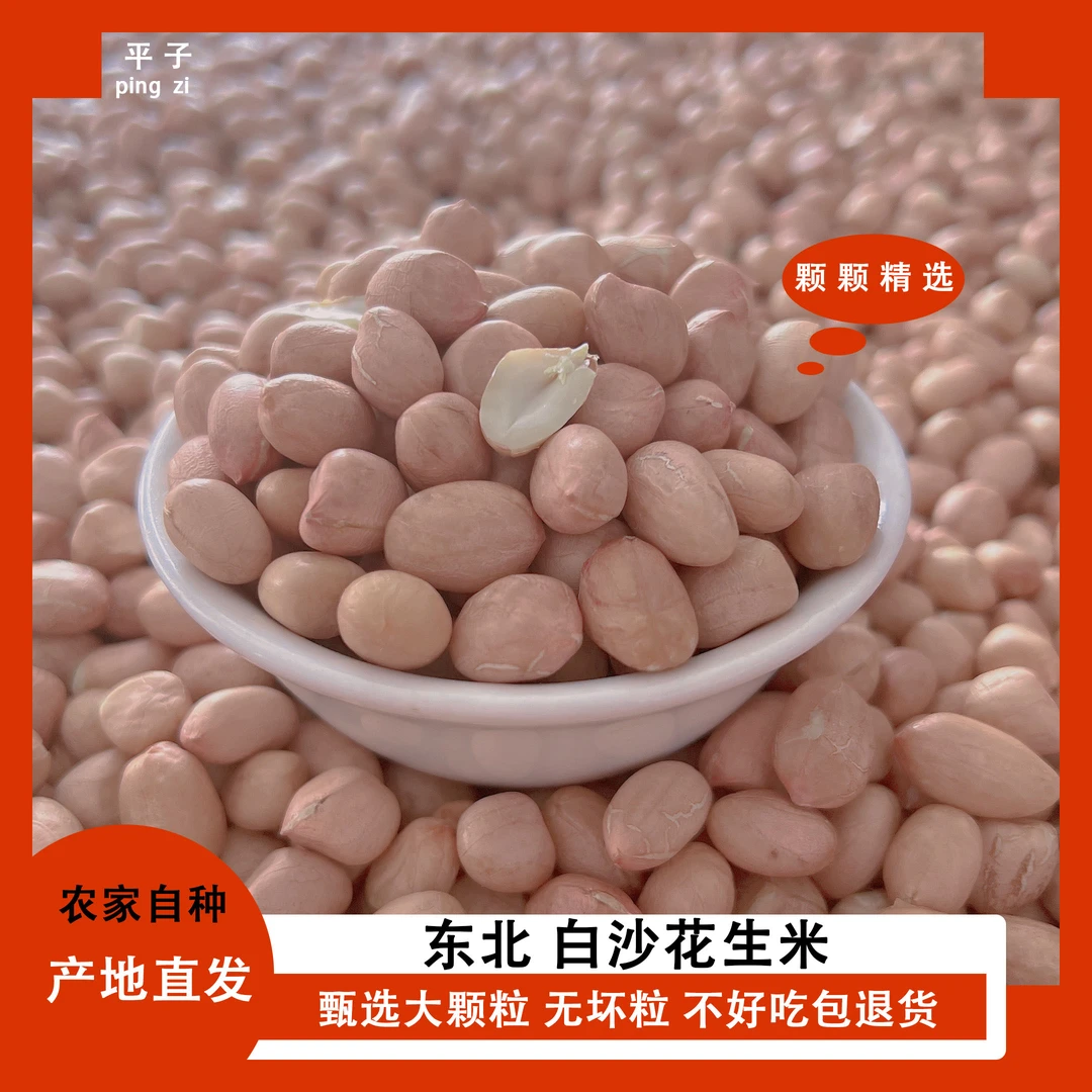2024年新鲜花生傅家精品白沙花生现脱壳特大花生米农家种植大粒