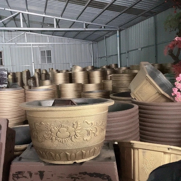 圆83一个有孔金色的
