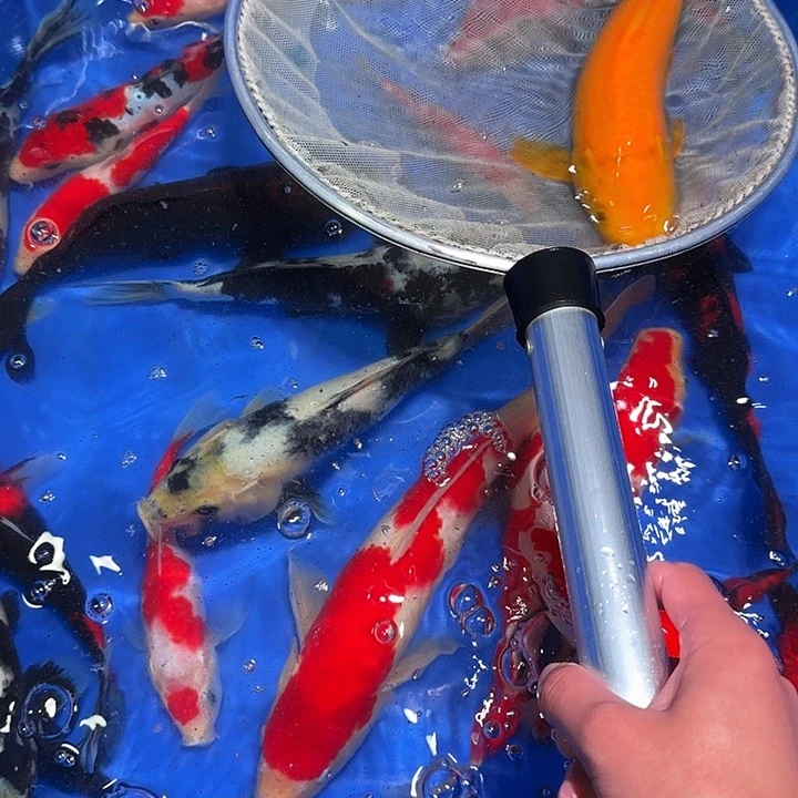 海水并不会因为自己是你所