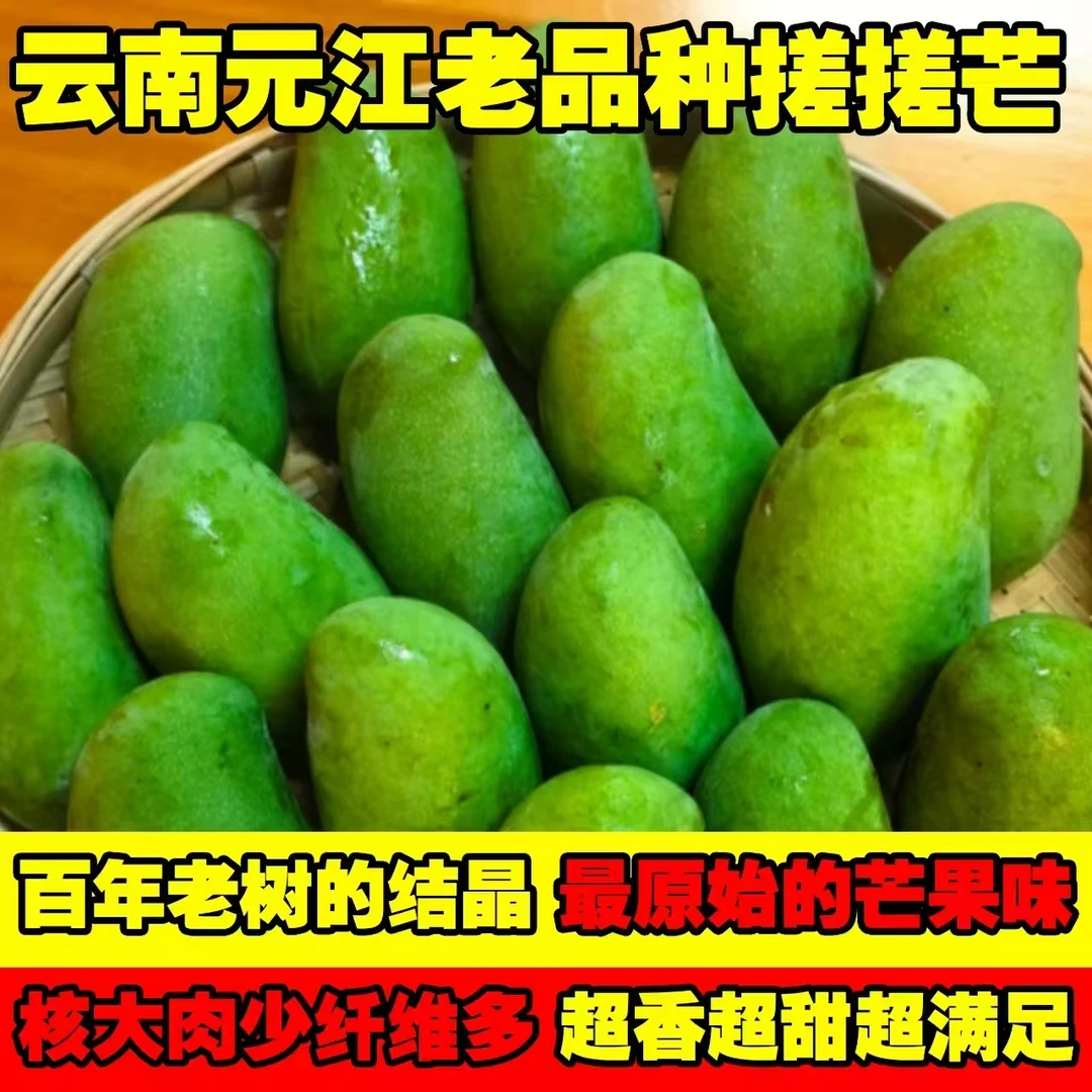 云南元江本地芒果 百年古树 搓搓芒果5斤【顺丰快递】