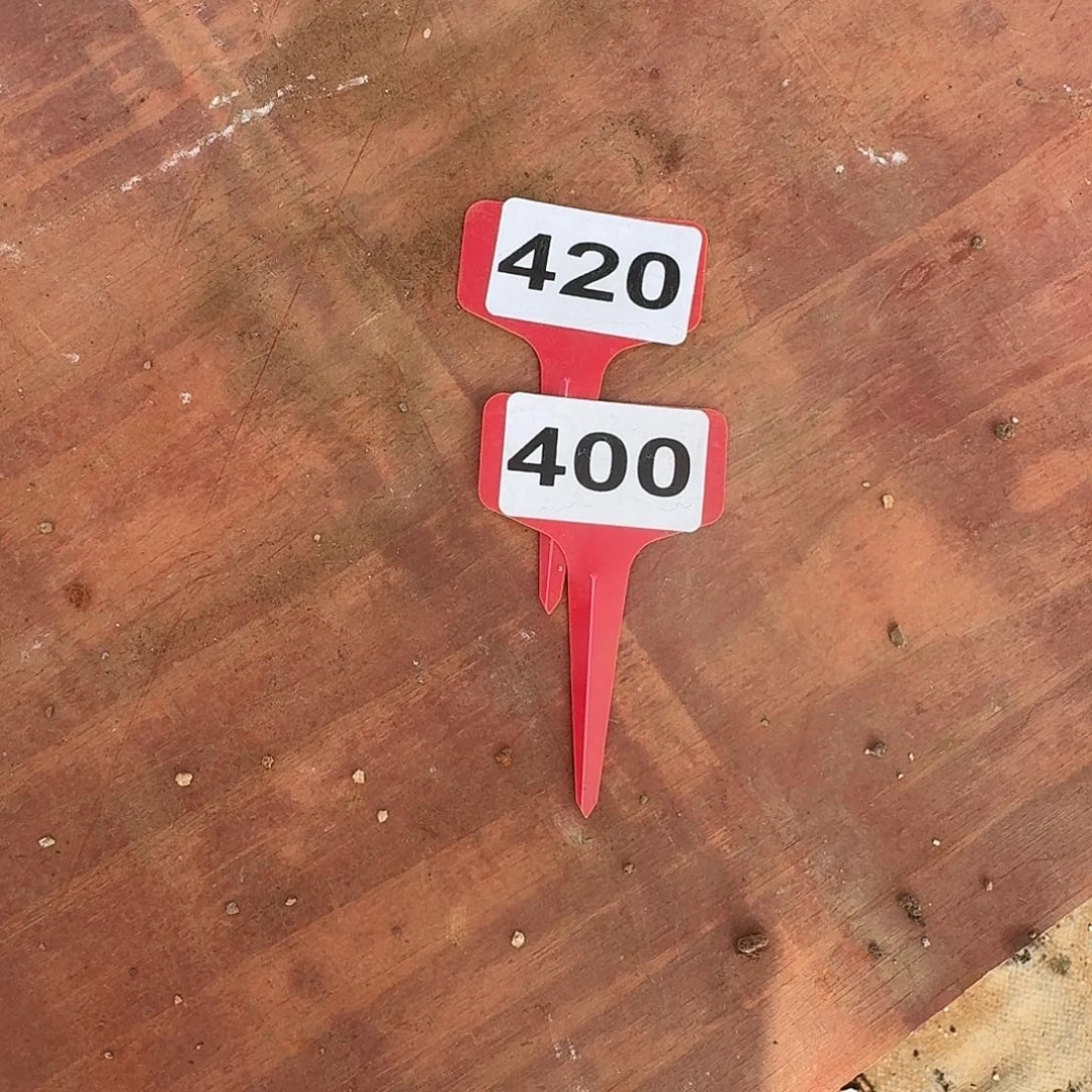 420 400两筐橙子一物一拍