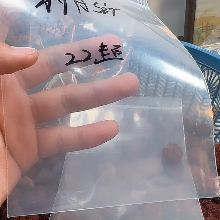 金刚菩提吊坠小***r22菠萝蜜