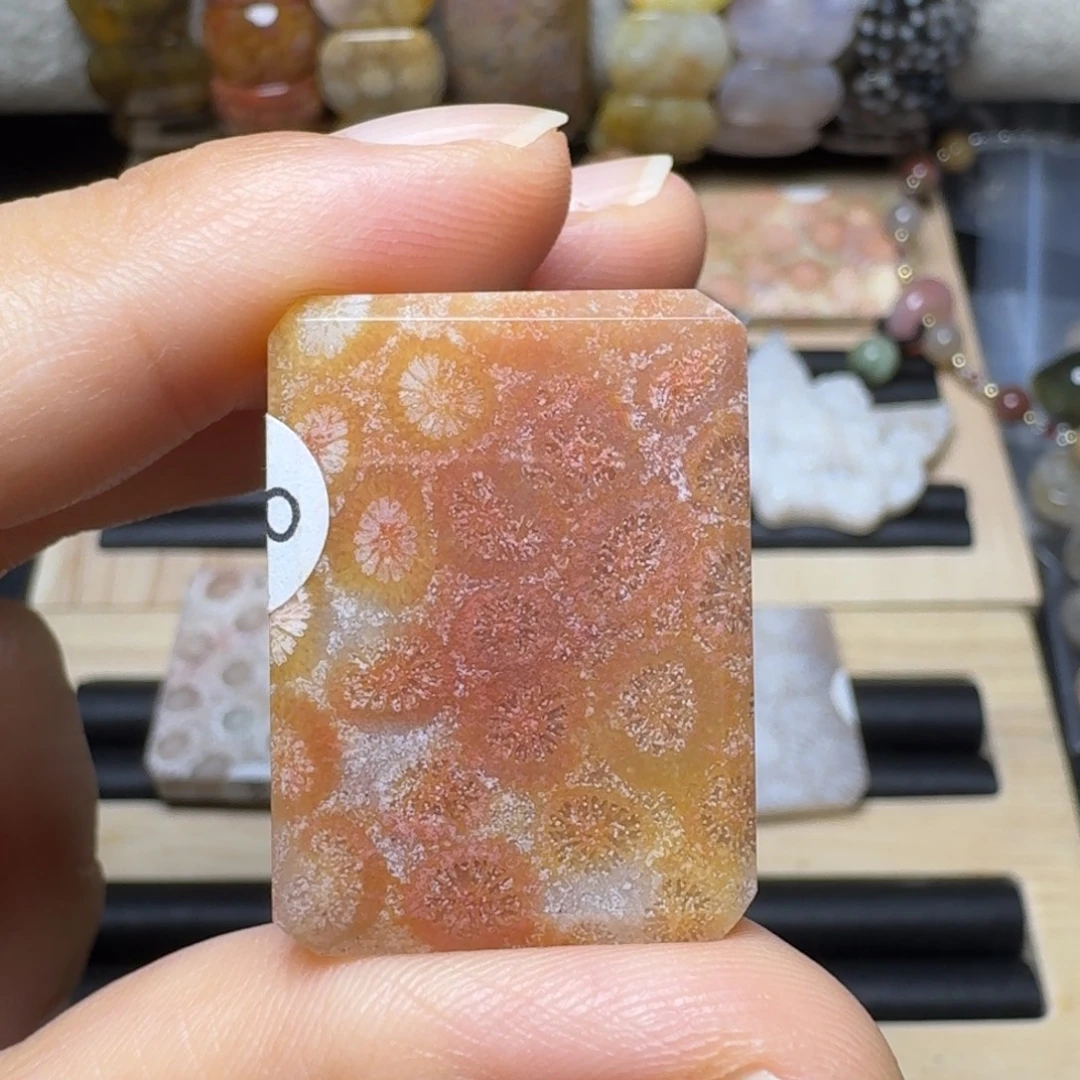 未镶嵌好盘的沙沙料硅化玉