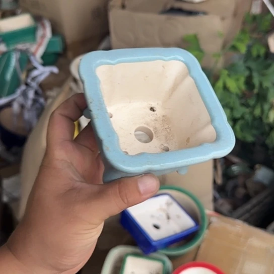 我想说什么我会和他们商量我