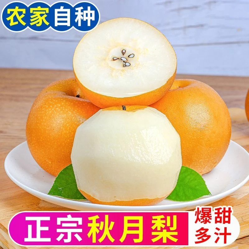 T1正宗山东莱阳秋月梨5斤装新鲜水果皮薄脆甜多汁应季水果