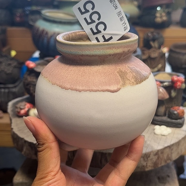 要不就去了这里没有555