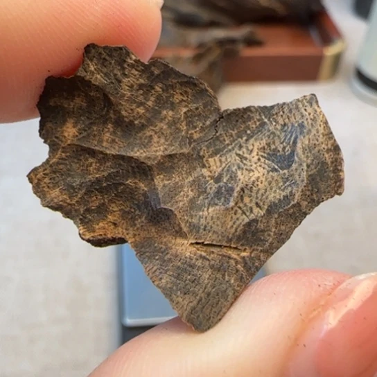 摆件沉香香港沉水包头1.8克