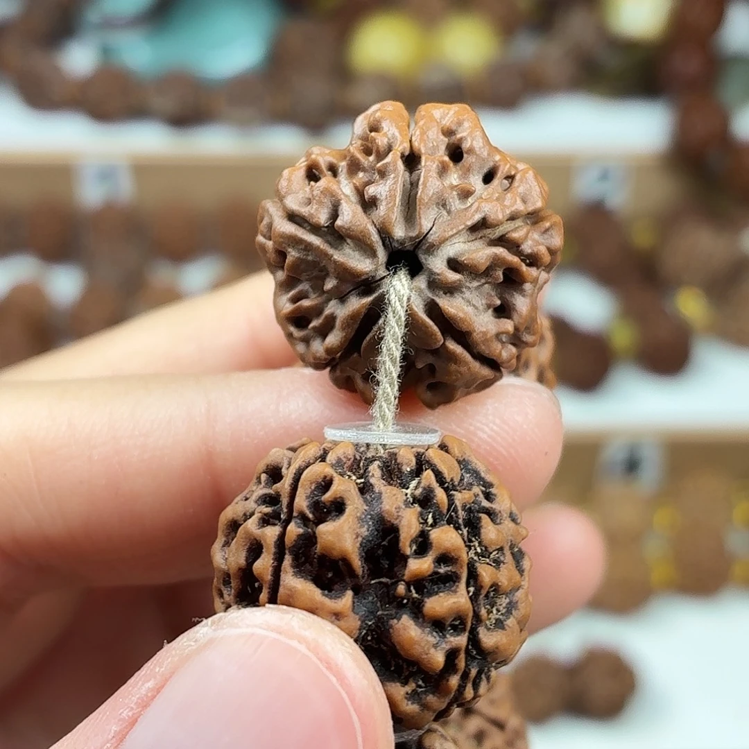 金刚菩提手串精品梅花蜂窝黄皮铁籽