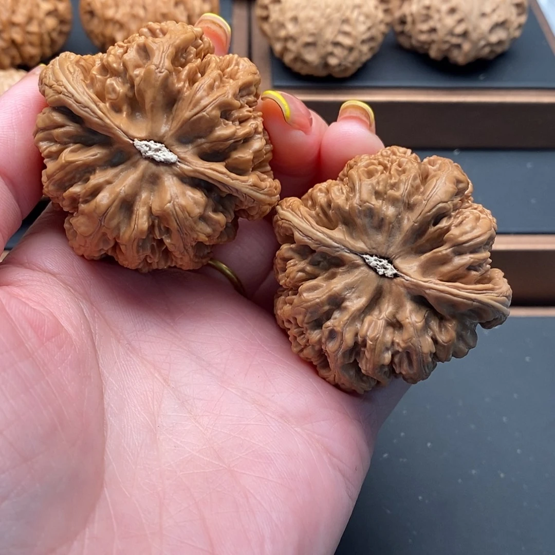 【闪购商品】文玩核桃把件董*森粗筋47修边差尺