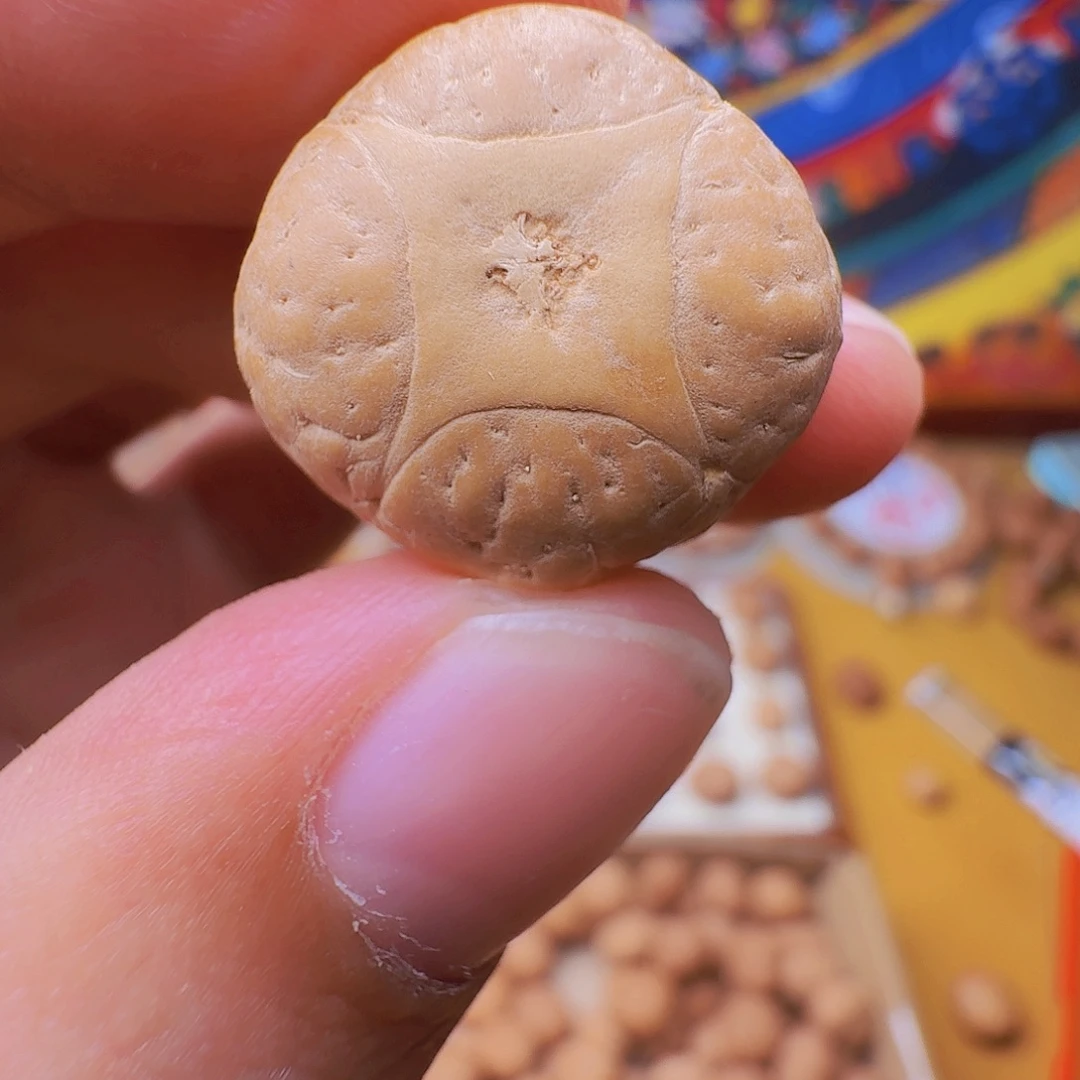 一***花21.5麒麟三通，一物一图