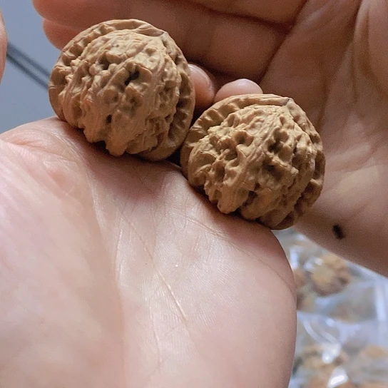 【闪购商品】把件文玩核桃37三角白