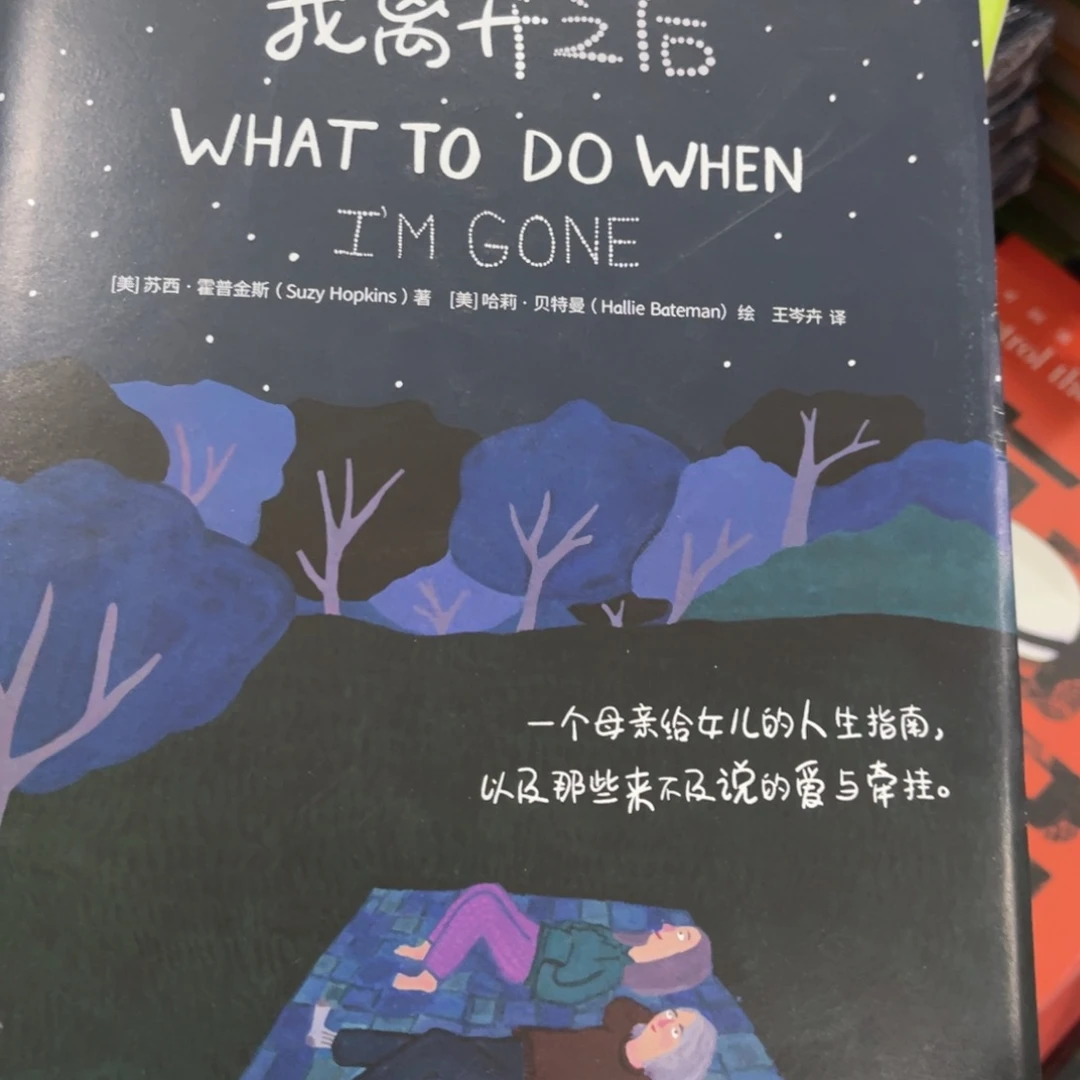 我离开之后精装一个