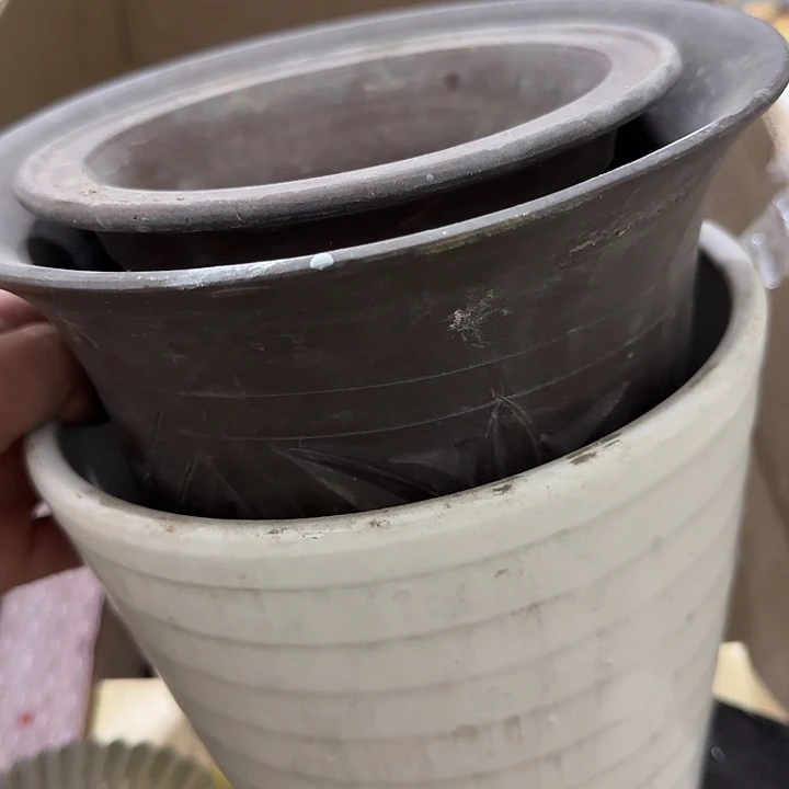 宝***爸扇子不故呼呼呼呼呼呼呼呼