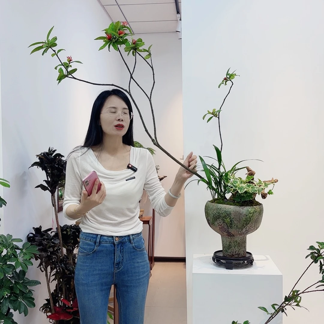 高端绿植一物一拍