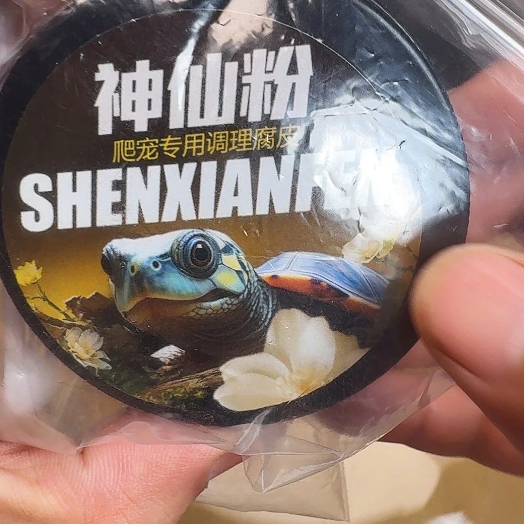 母绿毛龟6666666666666666