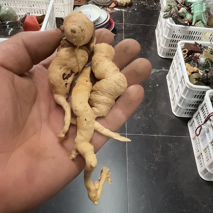 马***建瓷片瓷片瓷瓷片瓷片