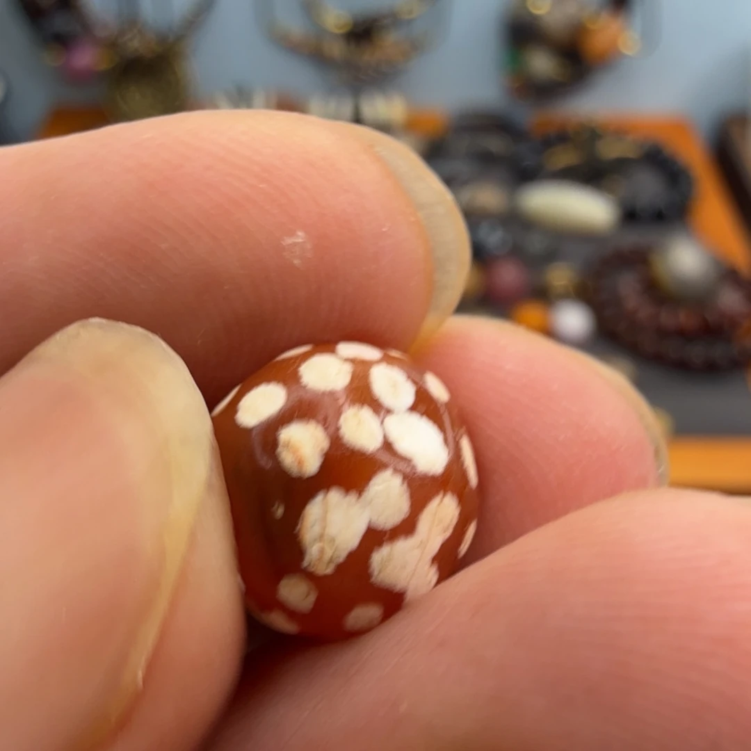 直发专拍专用链接。