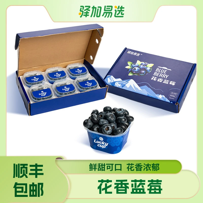 【云南高山花香蓝莓】顺丰直发 酸甜爽口  产地直发 新鲜当季