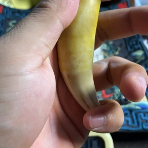 大哥专拍链接一号