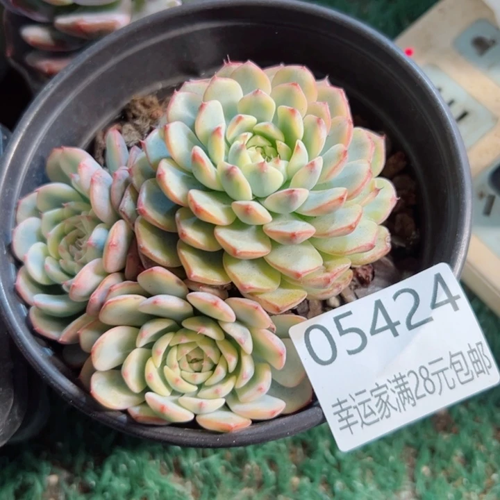 幸运的是我还没遇到