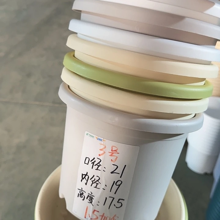 四季3#灰白10个无托