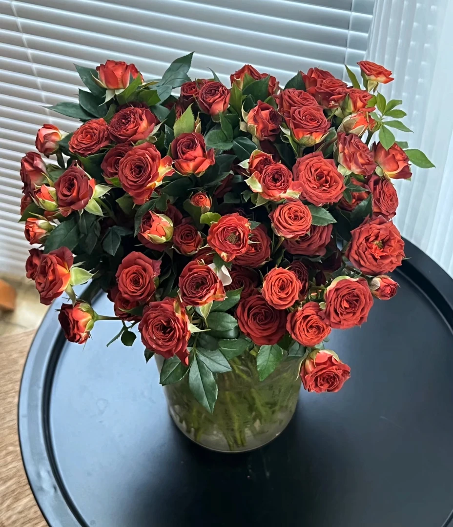 巧克力泡泡多头玫瑰-云南基地玫瑰花直发