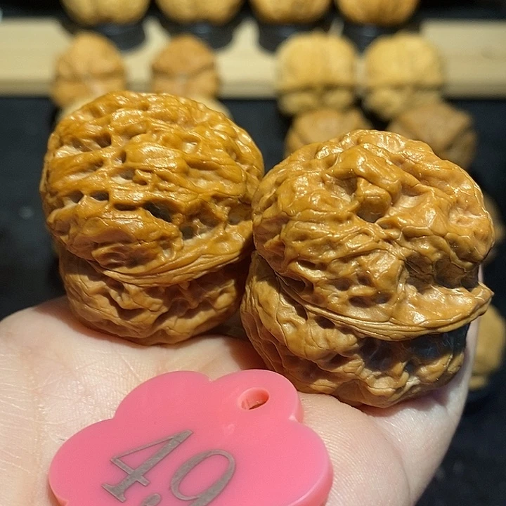 核桃金蟾元宝40尺寸