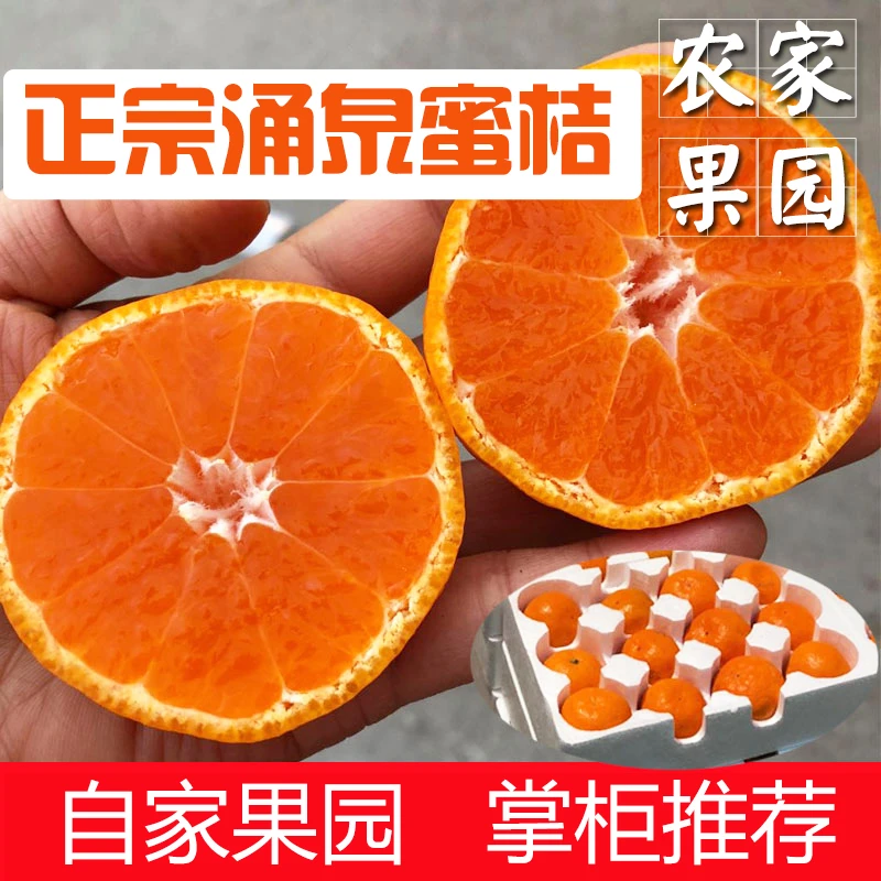 【正宗】临海涌泉蜜桔早熟蜜橘5斤当季新鲜桔子水果10斤无核橘子