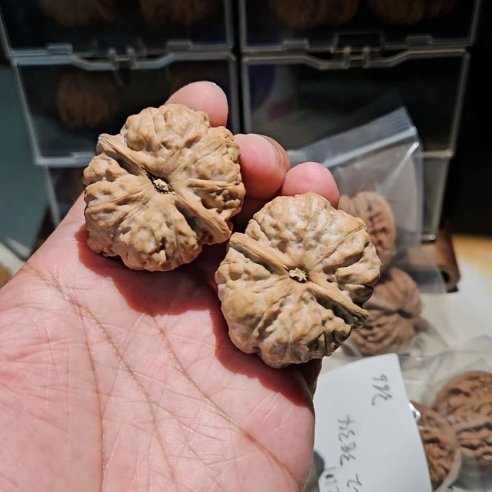 把件文玩核桃沂***猫HS6066